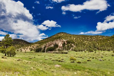 Güzel yeşil tepelerin yanındaki çimen tarlası Mavi bulutlu gökyüzüne karşı