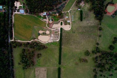 Güneşli bir günde açık arazili bir üzüm bağının havadan görünüşü.