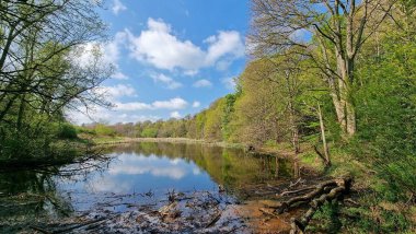 Ağaçların ve bulutların arka planını yansıtan sakin suları olan güzel bir göl manzarası.