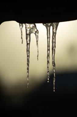 Donmuş buz sarkıtı bulanık bir arkaplanda