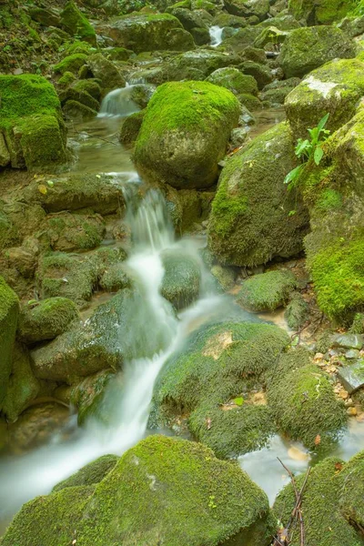 Een Verticaal Schot Water Stromend Mossige Rotsen — Stockfoto