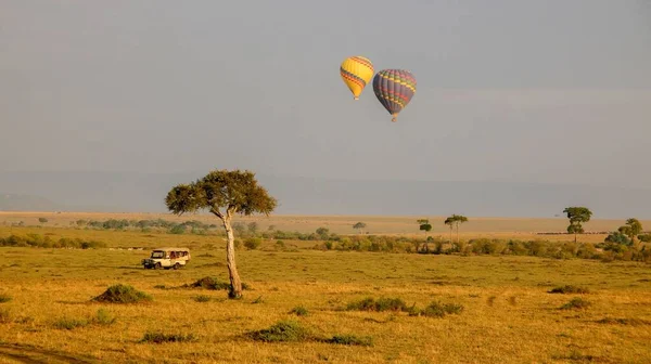 Bautiful Shot Two Air Balloons Old Truck Safari Area — Stock Photo, Image
