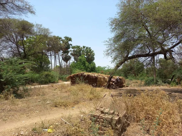 Una Estructura Paja Área Seca Cerca Árboles Verdes — Foto de Stock