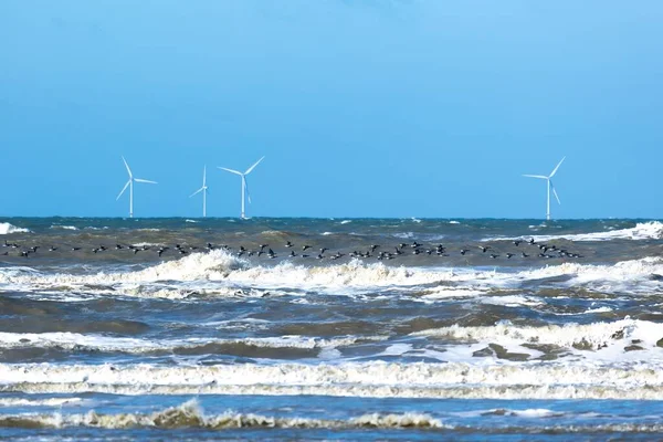 Flock Seabirds Stormy Sea Waves Offshore Windmill Park Background — Stock Photo, Image