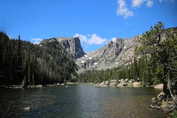 Colorado Abd Deki Rocky Dağları Yamacında Yeşil Çam Ormanlarına Karşı — Stok fotoğraf