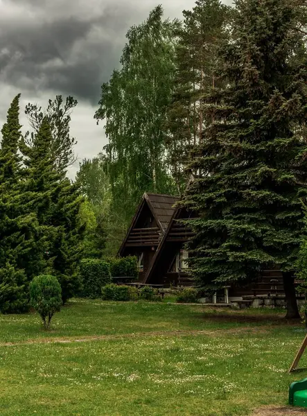 Vacker Utsikt Över Trähus Skogen — Stockfoto