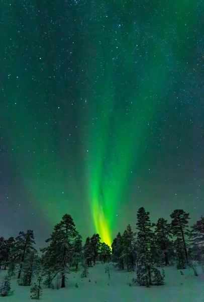 Eine Vertikale Aufnahme Schneegrüner Bäume Unter Nordlichtern Mit Einem Sternenhimmel — Stockfoto