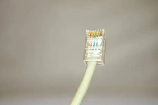 Close Shot Mains Cable Plug White Background — Stock Photo, Image