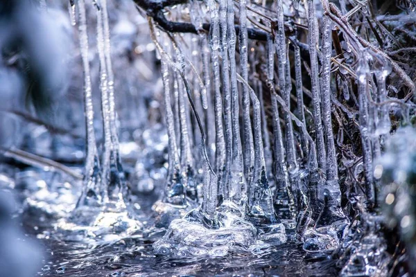 Close Icicles Fundo Embaçado — Fotografia de Stock