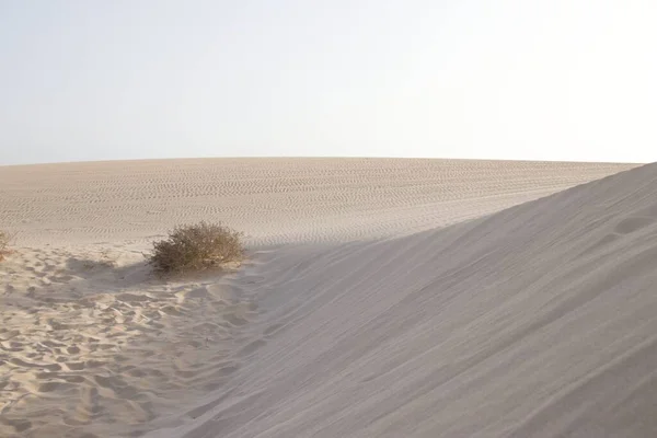 Una Vista Panoramica Deserto Con Una Duna Sabbia Sullo Sfondo — Foto Stock