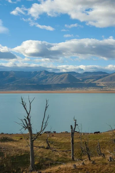 Colpo Verticale Del Lago Argentino Nella Provincia Patagonica Santa Cruz — Foto Stock