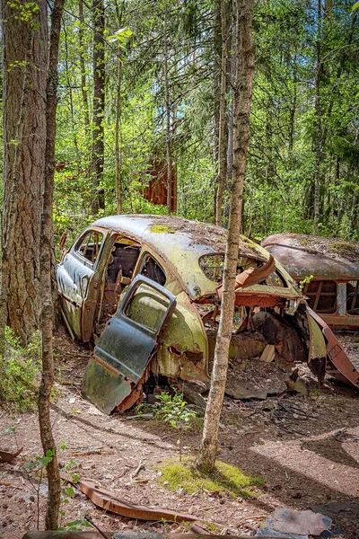 Egy Autós Temető Található Egy Erdőben — Stock Fotó