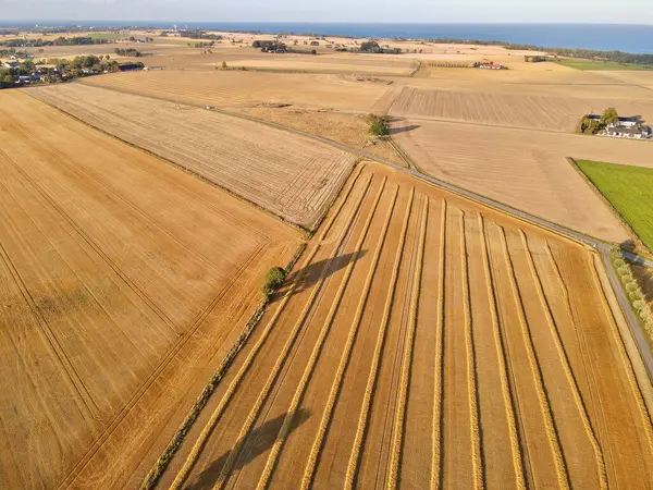 スウェーデンのSkaneを背景に海と農地が耕された田舎の空中ショット — ストック写真