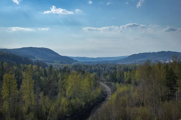 背景の木と山の間の道の空中ショット — ストック写真