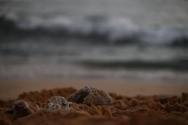 Foco Seletivo Pedras Areia Uma Praia Com Paisagem Marinha Turva — Fotografia de Stock