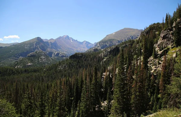 Een Luchtfoto Van Groene Dennenbossen Een Helling Van Rocky Mountains — Stockfoto