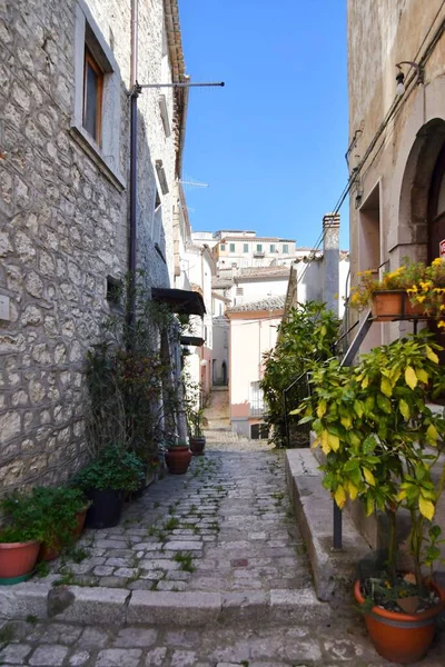 Een Verticaal Schot Van Een Smalle Straat Tussen Oude Huizen — Stockfoto