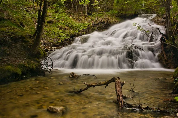 Cachoeira Floresta Que Seu Visto Cada Detalhe — Fotografia de Stock