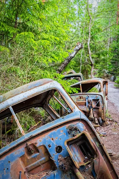 Ein Autofriedhof Liegt Einem Wald — Stockfoto