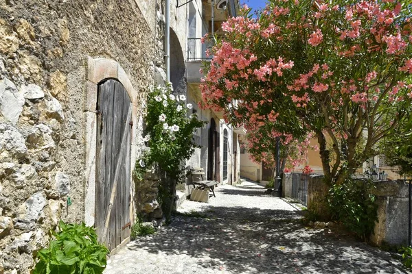 Une Rue Étroite Entourée Bâtiments Pierreux Dans Village San Donato — Photo