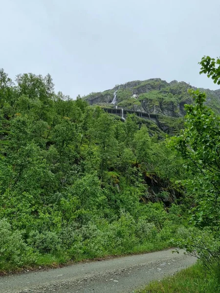 Вертикальный Снимок Сельской Дороги Лесу Возле Горы Небольшим Водопадом — стоковое фото