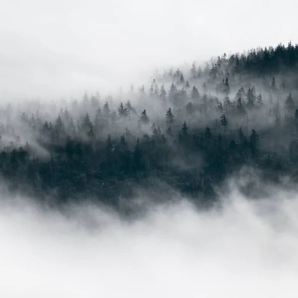 Uma Vista Panorâmica Nevoeiro Nas Montanhas — Fotografia de Stock