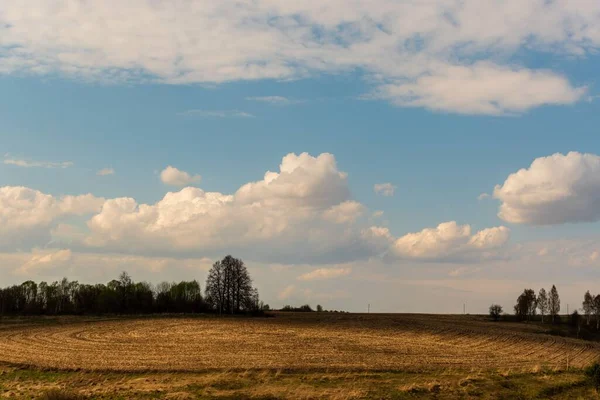 ロシアの青い曇り空の下で木々に囲まれたフィールドの美しい風景 — ストック写真