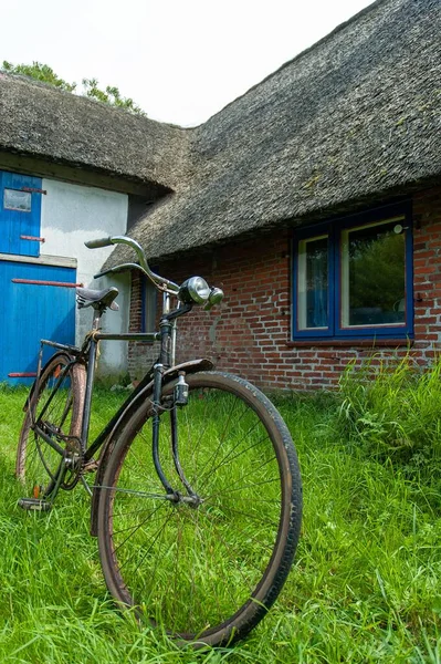 Старый Ржавый Велосипед Траве Днем — стоковое фото