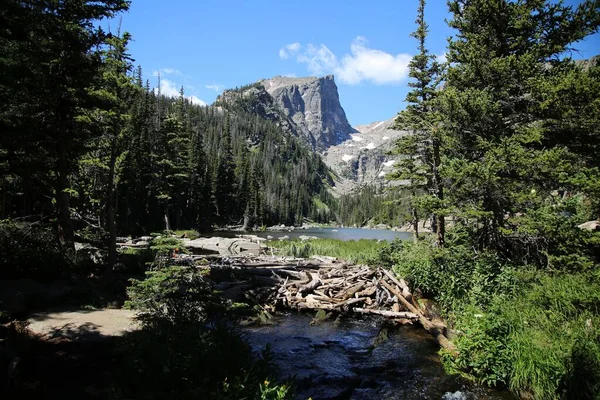 Colorado Abd Deki Rocky Dağları Yamacında Yeşil Çam Ormanlarına Karşı — Stok fotoğraf