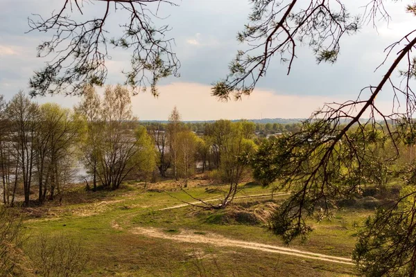 Прекрасный Вид Лес Высокими Деревьями Реки Весной России — стоковое фото