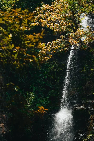 Een Verticaal Shot Van Savri Waterval Tussen Herfst Kleurrijke Bomen — Stockfoto
