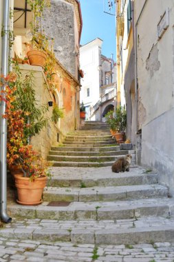 İtalya, Morcone 'daki eski evlerin arasında saksı bitkisi olan boş taş merdivenler.
