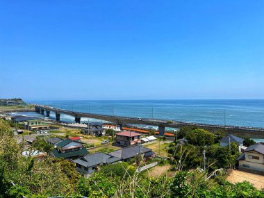Deniz ya da okyanus kıyısında bir sürü yeşil ağacı olan güzel küçük bir yerleşim yerinin yüksek açılı görüntüsü.