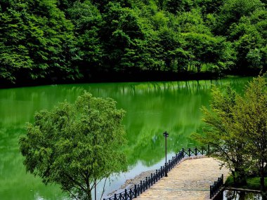 Yeşil bir göl, yeşil ağaçları ve ahşap yolu yansıtıyor.