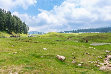 Güzel kaşmir 'deki dağ ormanlarının manzarası. Dal Gölü, pahalgam, Gulmarg, Baramulla, Kupwara Kaşmir 'e güzellik katıyor..