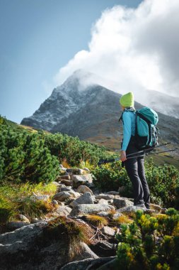 Arka planda sis olan dağlarda yürüyüş yapan birinin dikey görüntüsü.