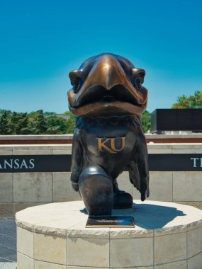 Lawrence, Kansas 10 Temmuz 2022 - Ascher Plaza 'daki Doğal Tarih Müzesi yakınlarındaki bronz Jayhawk' ın şimdiki versiyonu