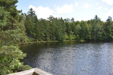 Parc ekoforestier de Johnville, Estrie, Quebec, Kanada 'daki güzel göl manzarası