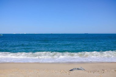 Sahili silip süpüren güzel bir dalga görüntüsü.