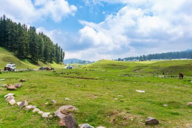 Güzel kaşmir 'deki dağ ormanlarının manzarası. Dal Gölü, pahalgam, Gulmarg, Baramulla, Kupwara Kaşmir 'e güzellik katıyor..