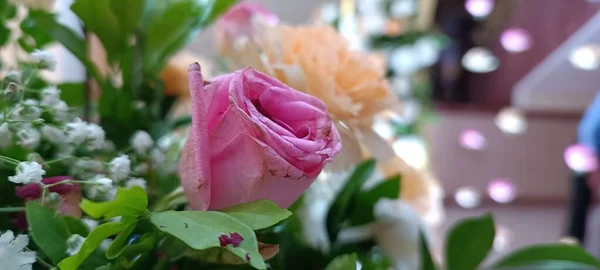 Closeup Floral Composition Pink Rose Orange Carnation Background — Stock Photo, Image