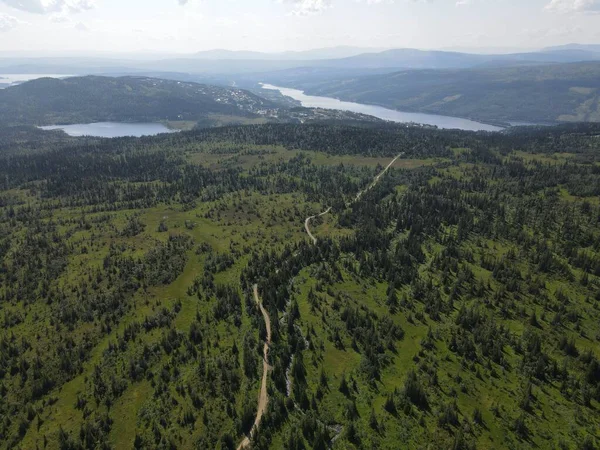 背景に森と川に覆われた風景の空中ショット — ストック写真