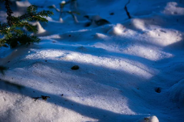 Tiro Perto Neve Fresca Brilhando Sol — Fotografia de Stock