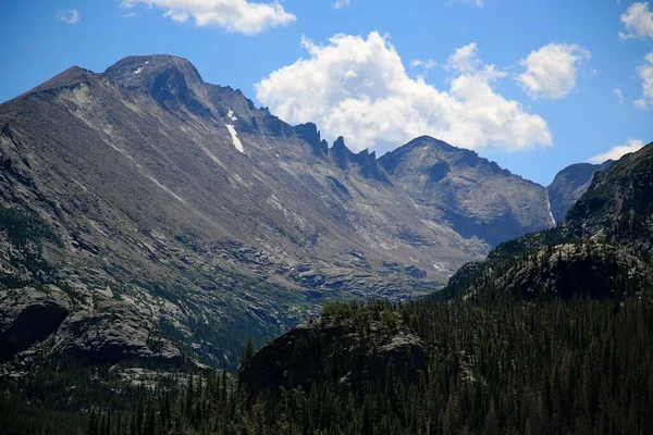 Colorado Abd Deki Rocky Dağları Nın Yamacındaki Yeşil Çam Ormanlarının — Stok fotoğraf