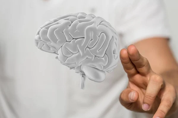 Рендеринг Белого Человеческого Мозга Рядом Рукой — стоковое фото