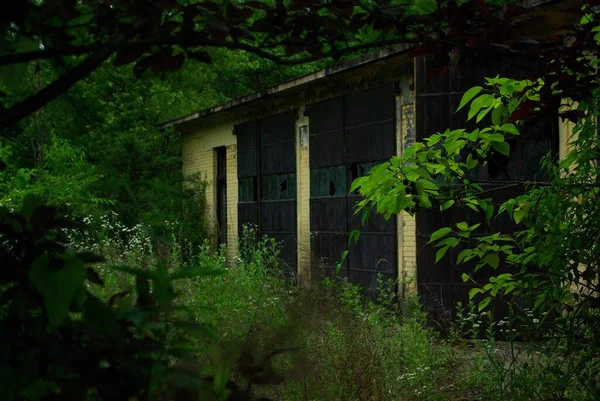 荒废的 荒废的森林中一座被大自然包围的废弃的建筑 — 图库照片