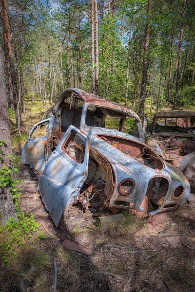 Car Graveyard Situated Forest — Stock Photo, Image