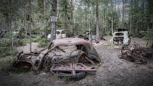 Ein Autofriedhof Liegt Einem Wald — Stockfoto