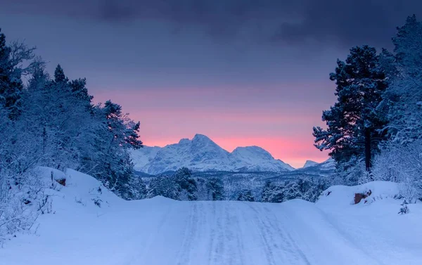 Ein Landschaftsbild Von Schneebedeckten Bäumen Auf Weißem Grund Unter Grauem — Stockfoto