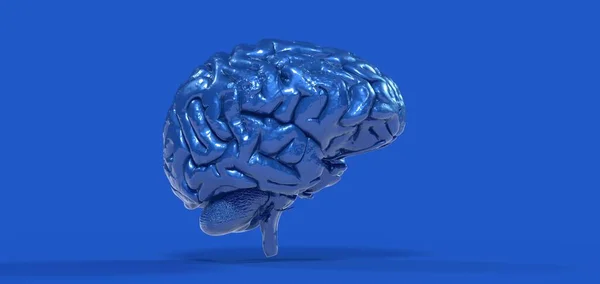 Рендеринг Сложного Человеческого Мозга Блестящей Металлической Текстурой Ярком Синем Фоне — стоковое фото